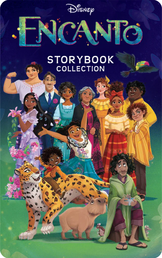 Disney Storybook Collection Bundle