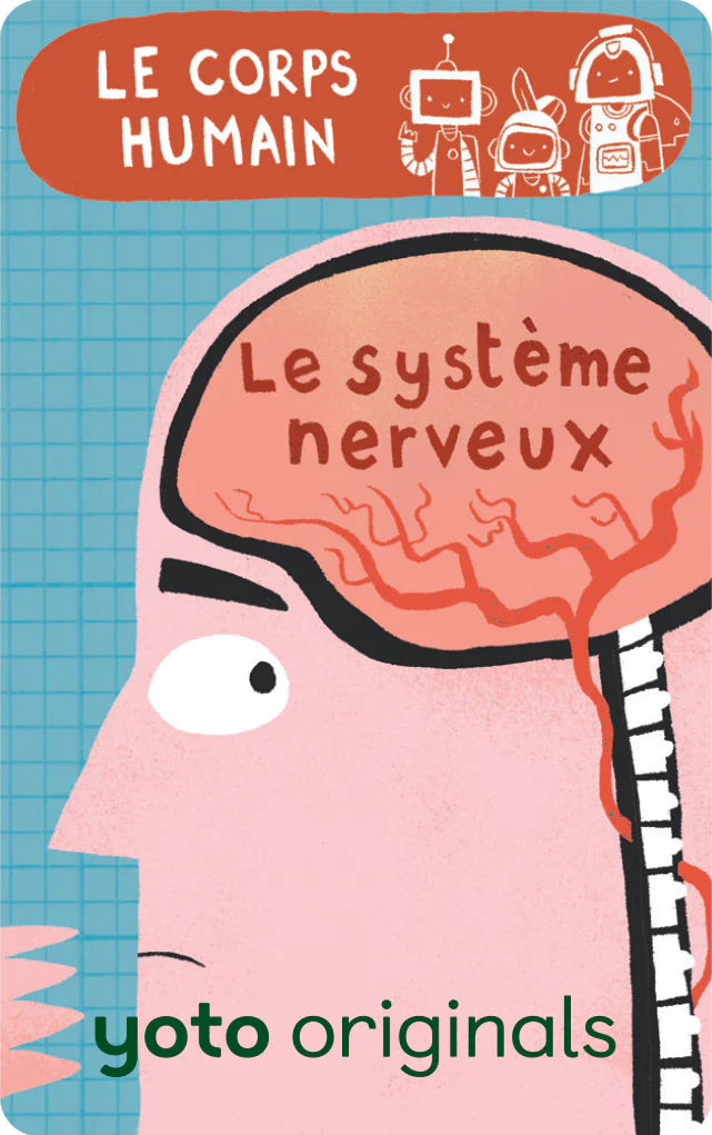 Explorobots : Le corps humain