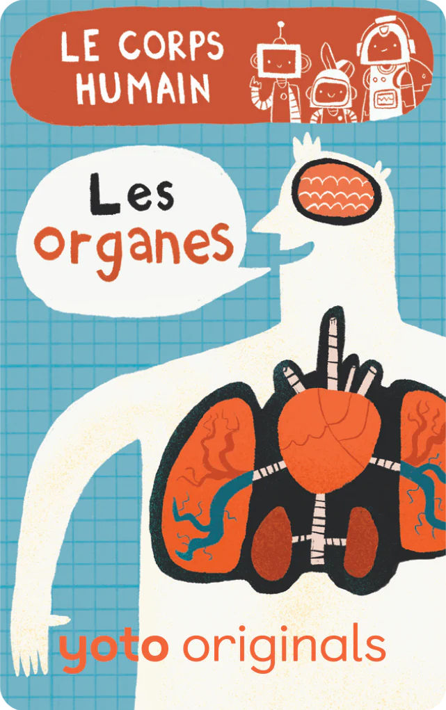 Explorobots : Le corps humain