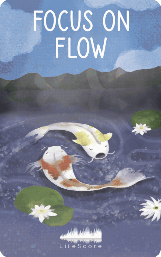 The Focus Collection