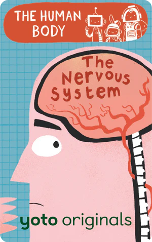 The Human Body: The Nervous System